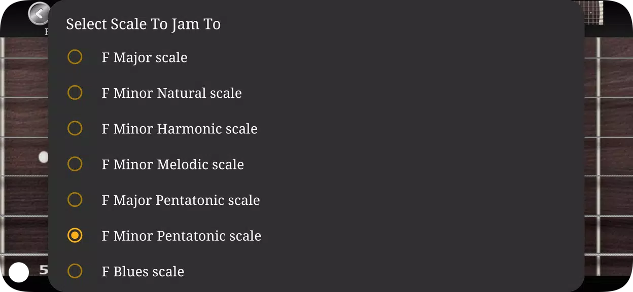 Guitar Scales & Chords Schermafbeelding 2