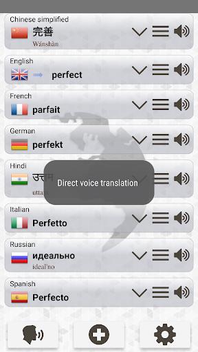 Q Multi Language Translator Zrzut ekranu 3