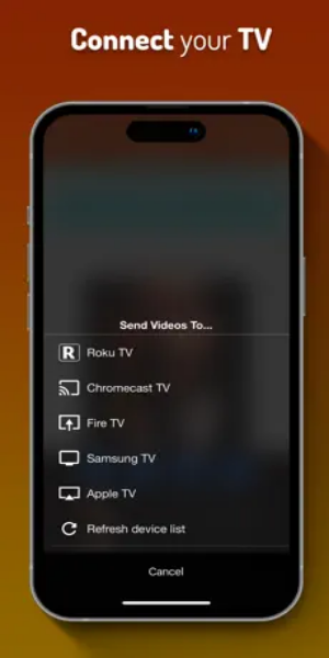 image:iWebTV Privacy Settings Screenshot