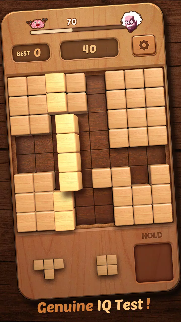 Schermata Wood Block Puzzle 3D 3