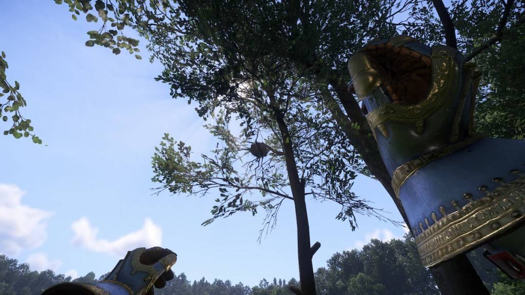 Throwing Rocks at bird nests in Kingdom Come Deliverance 2.