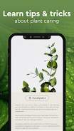 Nature Detect - Plant Identify Schermafbeelding 3