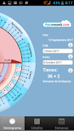 Pregnancy Weeks Calculator Captura de pantalla 0