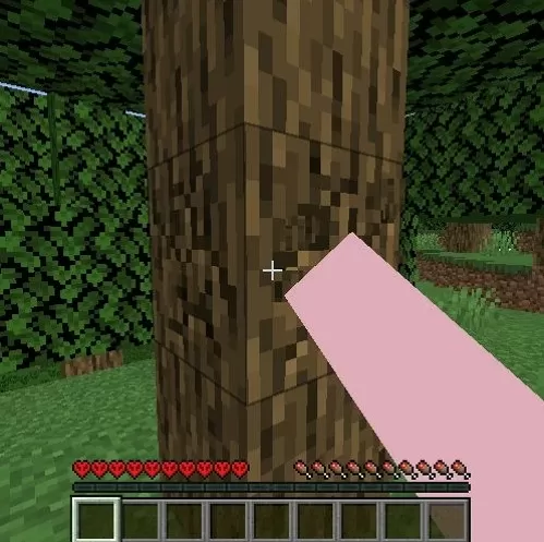 blog-image-Minecraft_Article_ThingsyouShouldDo_EN02