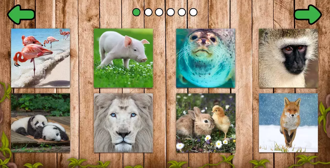 Animal puzzle games offline 스크린샷 1