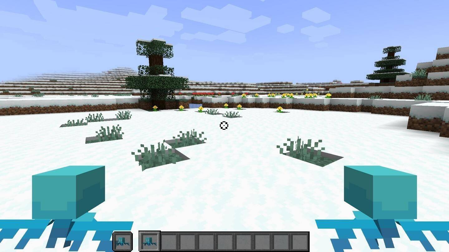 Snow biome with nearby pillagers