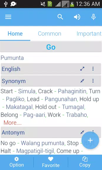 Filipino Dictionary Multifunct スクリーンショット 2