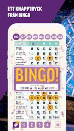 BingoLotto Screenshot 0