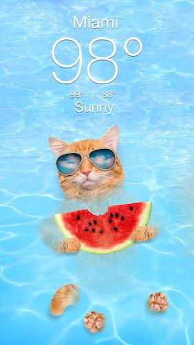 Weather Kitty - App & Widget ภาพหน้าจอ 1