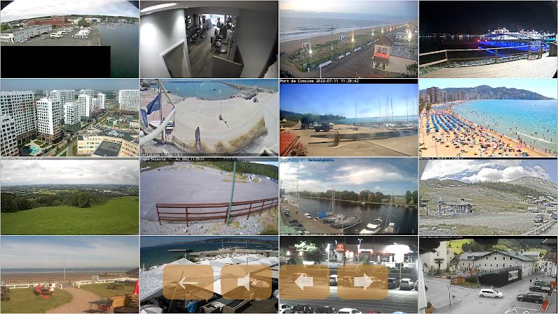 IP camera ONVIF RTSP viewer Screenshot 0