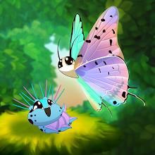 Flutter: Butterfly Sanctuary