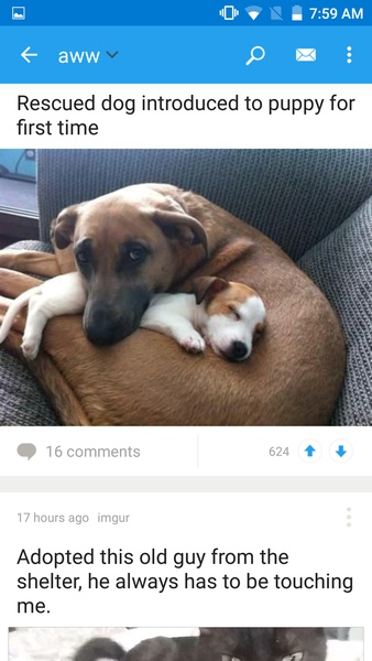 Reddit Official App ภาพหน้าจอ 3