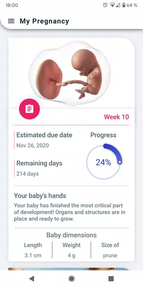 My Pregnancy - Week by Week スクリーンショット 0