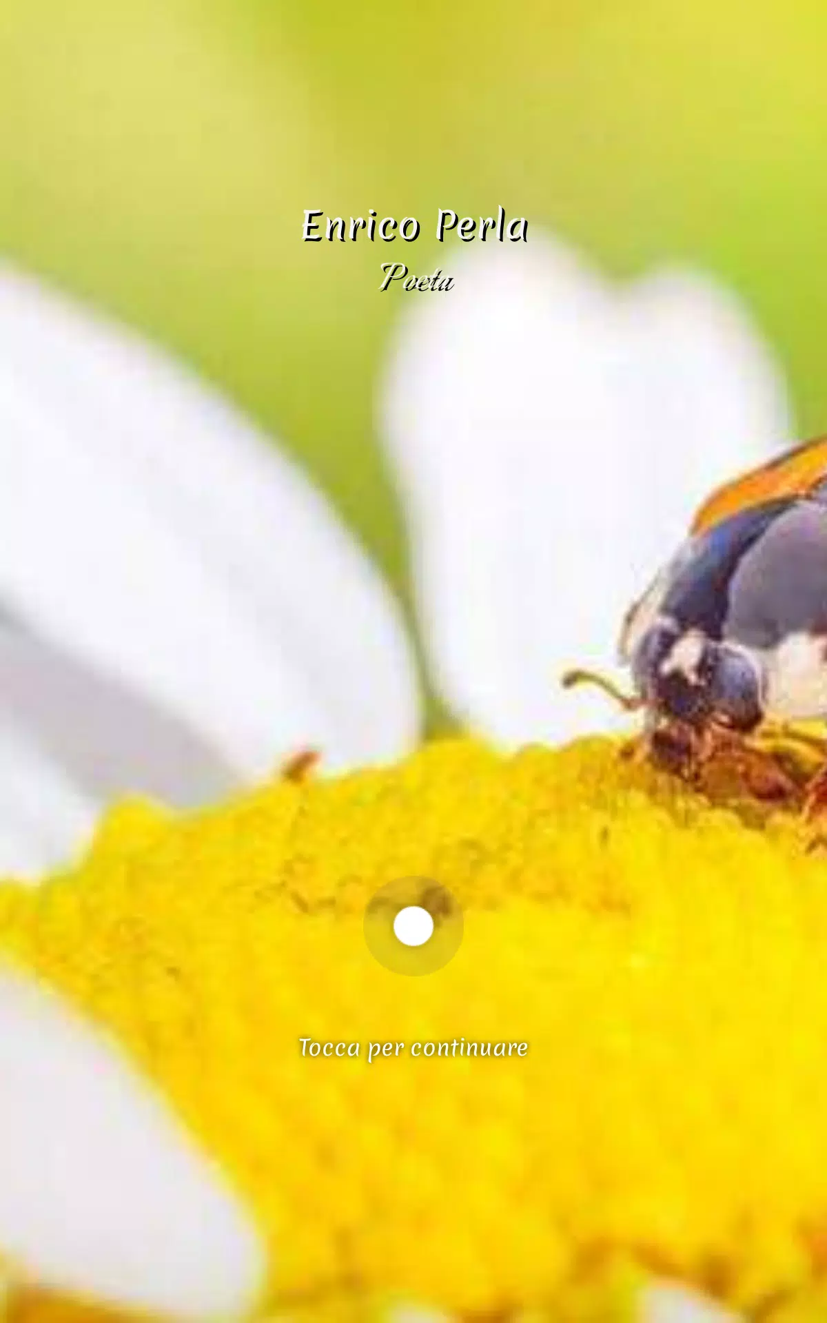 Raisa Rosca应用截图第3张