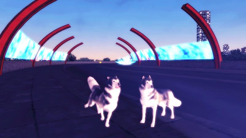 Husky Simulator Tangkapan skrin 1