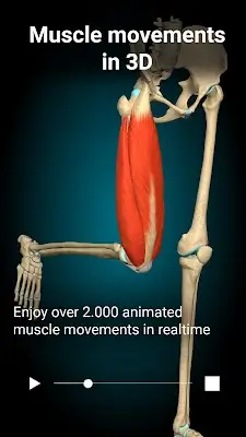 Anatomy Learning - 3D Anatomy スクリーンショット 1