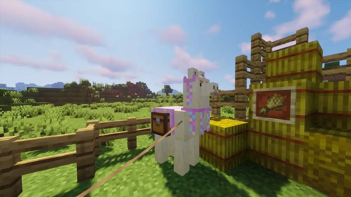 Leading a Llama