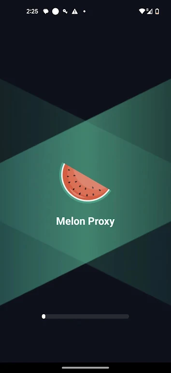 Melon Proxy Schermafbeelding 0