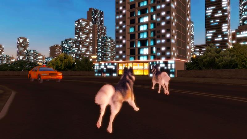 Husky Simulator Tangkapan skrin 2