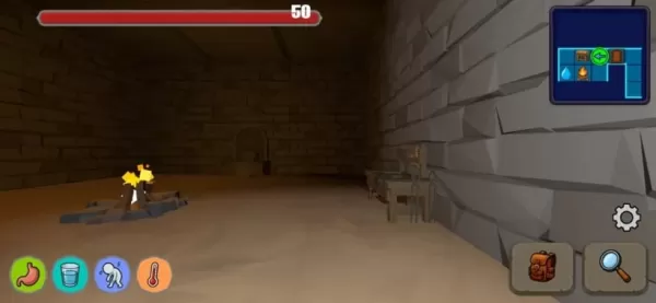 Ein Bild einer Perspektive aus der ersten Person in einem dunklen Dungeon mit Gesundheit, Hunger und Durststangen sichtbar