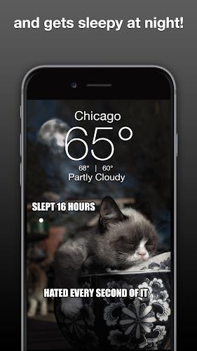 Grumpy Cat Weather Capture d'écran 2