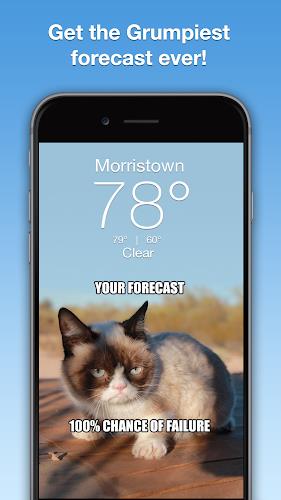 Grumpy Cat Weather Capture d'écran 0