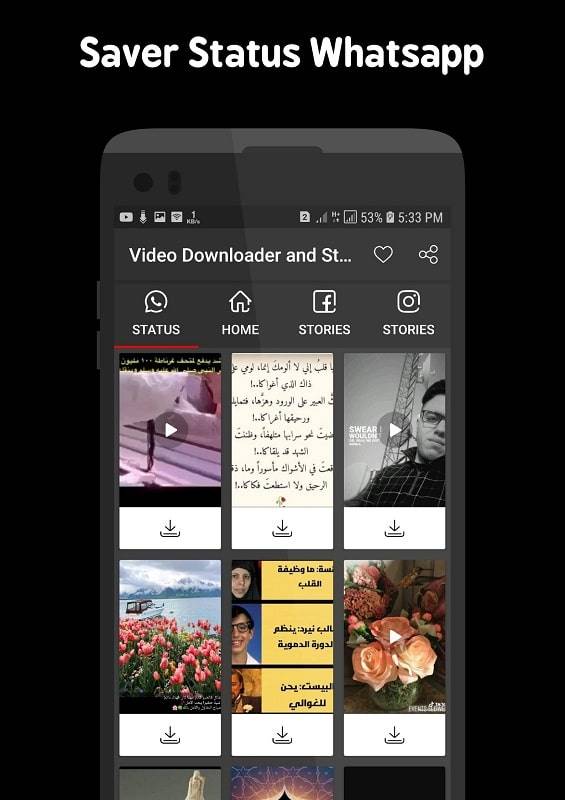 Video Downloader and Stories Скриншот 2