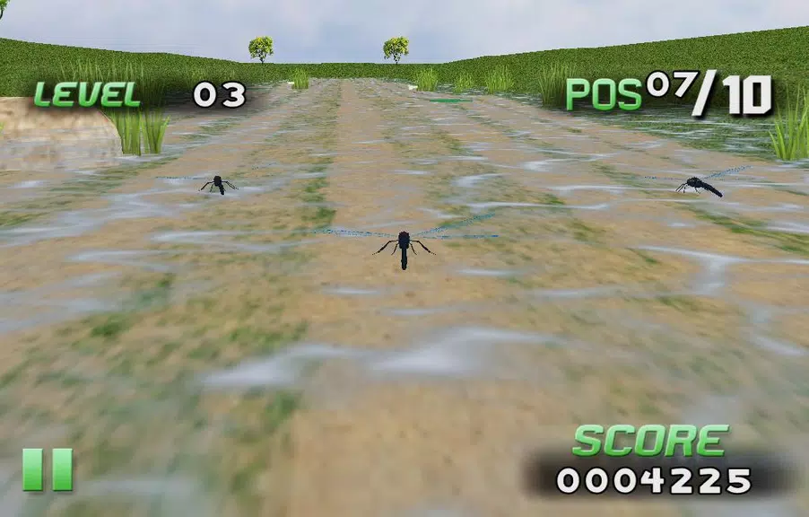 Insect Race Screenshot 2