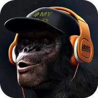 Gorilla Monkey Live Wallpaper