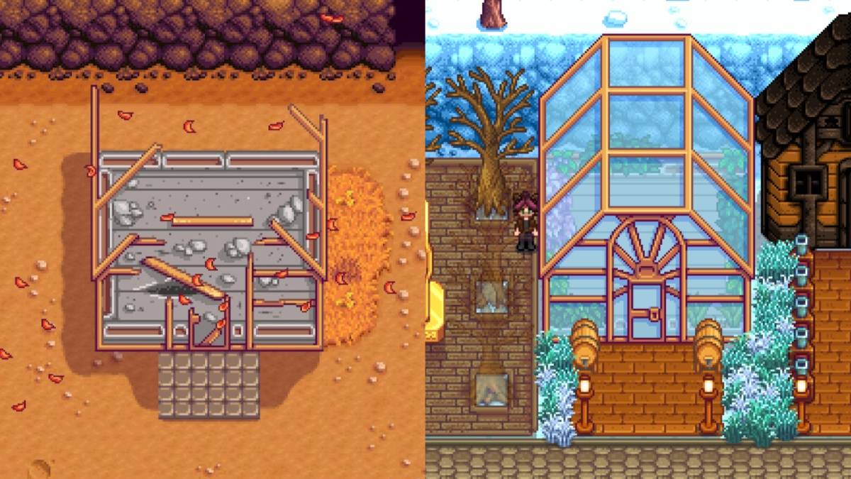 The Greenhouse in Stardew Valley.