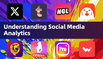 Understanding Social Media Analytics